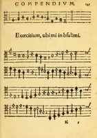 Picture 27 of 31 from Mvsicae epitome ex Glareani Dodechordo vna tum qvinqve melodiis svper eivsdem Glareani Panegyrico de Helveticarum XIII urbium Laudibus (1559), leaf 163
