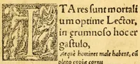 An illustration from Mvsicae epitome ex Glareani Dodechordo vna tum qvinqve melodiis svper eivsdem Glareani Panegyrico de Helveticarum XIII urbium Laudibus (1559)