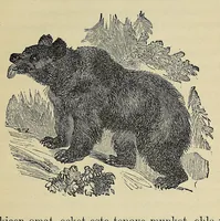 An illustration from Mvskoke nakcokv eskerretv esvhokkolat. Creek second reader (1871)
