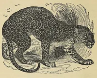 An illustration from Mvskoke nakcokv eskerretv esvhokkolat. Creek second reader (1871)