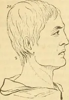 An illustration from My battle for life. The autobiography of a phrenologist (1857)