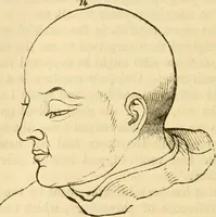 An illustration from My battle for life. The autobiography of a phrenologist (1857)