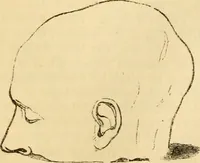 An illustration from My battle for life. The autobiography of a phrenologist (1857)