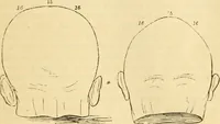 An illustration from My battle for life. The autobiography of a phrenologist (1857)