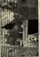 Picture 20 of 311 from Mycenae : a narrative of researches and discoveries at Mycenae and Tiryns (1878), leaf 124