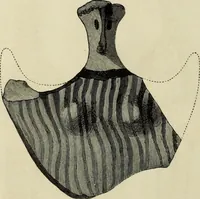 Picture 32 of 311 from Mycenae : a narrative of researches and discoveries at Mycenae and Tiryns (1878), leaf 154