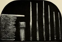 An illustration from Mycenae : a narrative of researches and discoveries at Mycenae and Tiryns (1878)