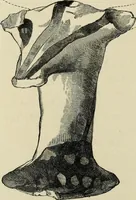 An illustration from Mycenae : a narrative of researches and discoveries at Mycenae and Tiryns (1878)