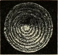 An illustration from Mycenae : a narrative of researches and discoveries at Mycenae and Tiryns (1878)