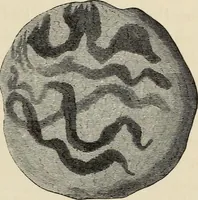 An illustration from Mycenae : a narrative of researches and discoveries at Mycenae and Tiryns (1878)