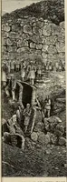 Picture 80 of 311 from Mycenae : a narrative of researches and discoveries at Mycenae and Tiryns (1878), leaf 234