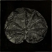 Picture 100 of 311 from Mycenae : a narrative of researches and discoveries at Mycenae and Tiryns (1878), leaf 259
