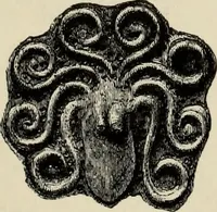 Picture 111 of 311 from Mycenae : a narrative of researches and discoveries at Mycenae and Tiryns (1878), leaf 269