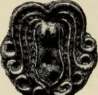 An illustration from Mycenae : a narrative of researches and discoveries at Mycenae and Tiryns (1878)