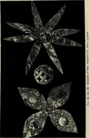 Picture 124 of 311 from Mycenae : a narrative of researches and discoveries at Mycenae and Tiryns (1878), leaf 278