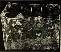 An illustration from Mycenae : a narrative of researches and discoveries at Mycenae and Tiryns (1878)