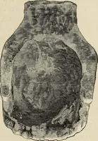 An illustration from Mycenae : a narrative of researches and discoveries at Mycenae and Tiryns (1878)