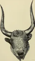Picture 140 of 311 from Mycenae : a narrative of researches and discoveries at Mycenae and Tiryns (1878), leaf 304