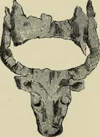 Picture 143 of 311 from Mycenae : a narrative of researches and discoveries at Mycenae and Tiryns (1878), leaf 306