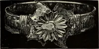 Picture 147 of 311 from Mycenae : a narrative of researches and discoveries at Mycenae and Tiryns (1878), leaf 315
