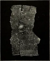 Picture 169 of 311 from Mycenae : a narrative of researches and discoveries at Mycenae and Tiryns (1878), leaf 339