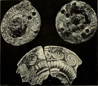 An illustration from Mycenae : a narrative of researches and discoveries at Mycenae and Tiryns (1878)