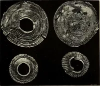 An illustration from Mycenae : a narrative of researches and discoveries at Mycenae and Tiryns (1878)