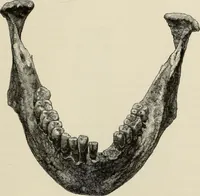 An illustration from Mycenae : a narrative of researches and discoveries at Mycenae and Tiryns (1878)