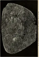 Picture 209 of 311 from Mycenae : a narrative of researches and discoveries at Mycenae and Tiryns (1878), leaf 389