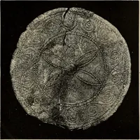 Picture 224 of 311 from Mycenae : a narrative of researches and discoveries at Mycenae and Tiryns (1878), leaf 407