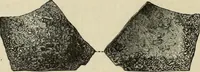 Picture 242 of 311 from Mycenae : a narrative of researches and discoveries at Mycenae and Tiryns (1878), leaf 458