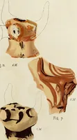 Picture 250 of 311 from Mycenae : a narrative of researches and discoveries at Mycenae and Tiryns (1878), leaf 479