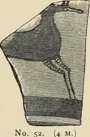 An illustration from Mycenae : a narrative of researches and discoveries at Mycenae and Tiryns (1878)