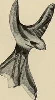 An illustration from Mycenae : a narrative of researches and discoveries at Mycenae and Tiryns (1878)