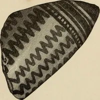 Picture 295 of 311 from Mycenae : a narrative of researches and discoveries at Mycenae and Tiryns (1878), leaf 505
