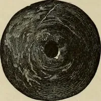 An illustration from Mycenae : a narrative of researches and discoveries at Mycenae and Tiryns (1878)