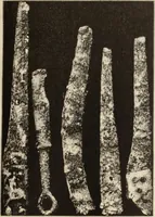 An illustration from Mycen©Œ : a narrative of researches and discoveries at Mycen©Œ and Tiryns (1878)