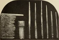 An illustration from Mycen©Œ : a narrative of researches and discoveries at Mycen©Œ and Tiryns (1878)