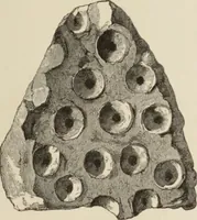 An illustration from Mycen©Œ : a narrative of researches and discoveries at Mycen©Œ and Tiryns (1878)