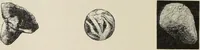 An illustration from Mycen©Œ : a narrative of researches and discoveries at Mycen©Œ and Tiryns (1878)