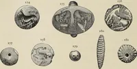 An illustration from Mycen©Œ : a narrative of researches and discoveries at Mycen©Œ and Tiryns (1878)