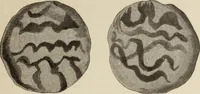 An illustration from Mycen©Œ : a narrative of researches and discoveries at Mycen©Œ and Tiryns (1878)