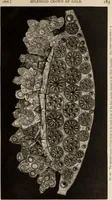An illustration from Mycen©Œ : a narrative of researches and discoveries at Mycen©Œ and Tiryns (1878)