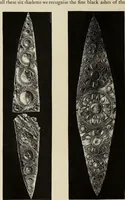 An illustration from Mycen©Œ : a narrative of researches and discoveries at Mycen©Œ and Tiryns (1878)