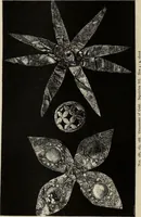 An illustration from Mycen©Œ : a narrative of researches and discoveries at Mycen©Œ and Tiryns (1878)