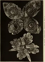 An illustration from Mycen©Œ : a narrative of researches and discoveries at Mycen©Œ and Tiryns (1878)