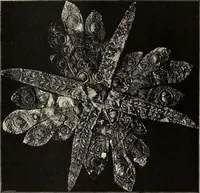 An illustration from Mycen©Œ : a narrative of researches and discoveries at Mycen©Œ and Tiryns (1878)