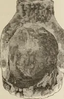 An illustration from Mycen©Œ : a narrative of researches and discoveries at Mycen©Œ and Tiryns (1878)