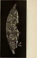 An illustration from Mycen©Œ : a narrative of researches and discoveries at Mycen©Œ and Tiryns (1878)