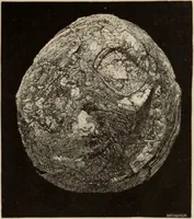 An illustration from Mycen©Œ : a narrative of researches and discoveries at Mycen©Œ and Tiryns (1878)